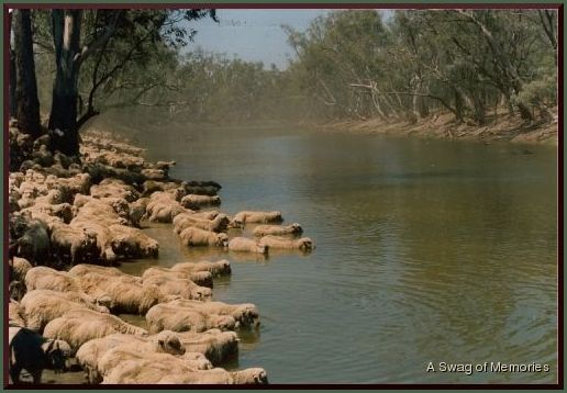 Pelican Waterholes: The huge billabong adjacent to the dry Barcoo in Western Queensland